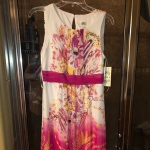 Dress size 6 brand new tags still on pd $68